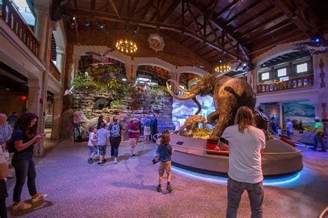 field day tsrip|fun field trip ideas.